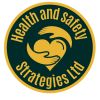 Health and Safety Strategies Ltd logo - Similar company to Customerx Consultants Limited