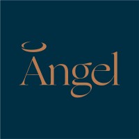 Angel Strategy logo - Similar company to Dparadigm Capital