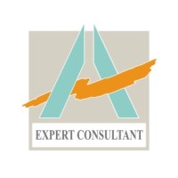 Expert Consultant logo - Similar company to Synergyz