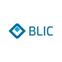 BLIC - Future of Mobility logo - Similar company to Delfi E.V.