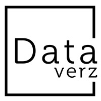 Dataverz logo - Similar company to Dataverze
