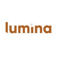 Agência Lumina logo - Similar company to M10 Conecta+