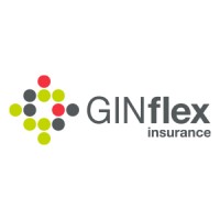GINflex logo - Similar company to Simba Soluções