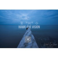 Hawk-Eye Vision