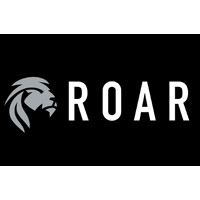 Revenue Over And Above Replacement (ROAR) logo - Similar company to Block Six Analytics