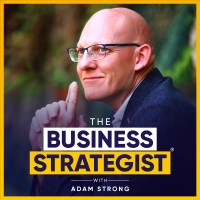 The Business Strategist logo - Similar company to Scan Ninja Inc