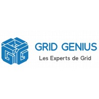 Grid Genius logo - Similar company to Metronelec