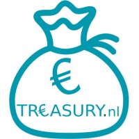 Public Treasury Services logo - Similar company to The Treasury Experts Gmbh