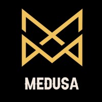 Medusa Gaming Sdn Bhd logo - Similar company to Efnsoft