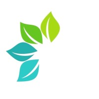 Cheeno | چینو logo - Similar company to Kamandar