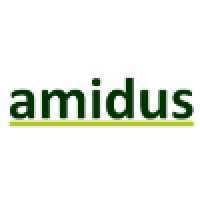 amidus logo - Similar company to Enegis