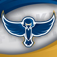 Solwing Esports logo - Similar company to G Star Elevators Private Limited