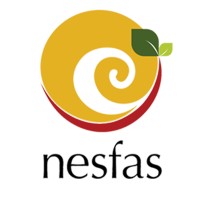 NESFAS logo - Similar company to Delta System