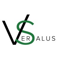 Versalus BV logo - Similar company to Versalis International