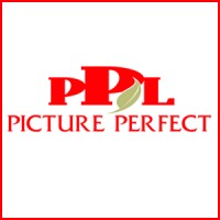 Picture Perfect Landscapes - Fairfield Nj logo - Similar company to Mindbeam Ai