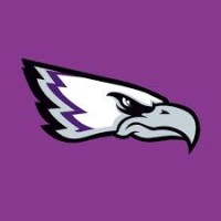 Reutlingen Eagles logo - Similar company to Mirage Virtual Art Department Gmbh