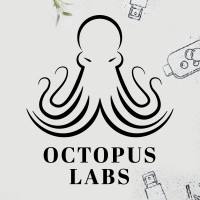 Octopus Labs Inc logo - Similar company to Octopuslabs