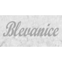 Blevanice Advisory Group logo - Similar company to Jtx Advisory Group