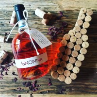 Cantina Fontechiara logo - Similar company to Crickets Automation