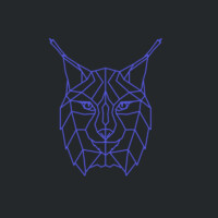 LynxSense logo - Similar company to Noveli