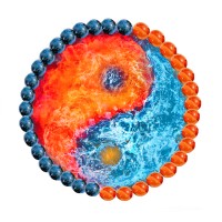 Mishi Blue Merchandise OPC Pvt Ltd logo - Similar company to Splink Pro