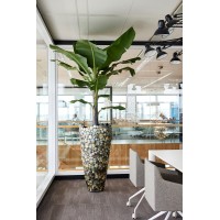 DEEDMAN TROPICAL PLANT HIRE LIMITED logo - Similar company to Bo&Ko