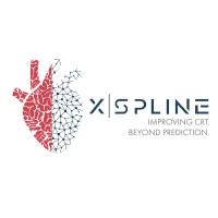 XSpline S.p.A. logo - Similar company to Inta Systems