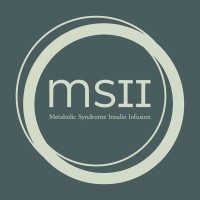 MSII logo - Similar company to Ms2I