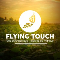 Flying Touch logo - Similar company to Hk Norma Group