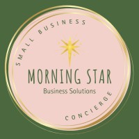 Morning Star Business Solutions logo - Similar company to The Kijagold Network