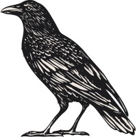 crowww&co logo - Similar company to Ymca Sutton Coldfield