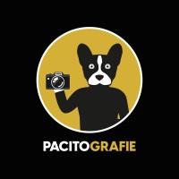 Pacitografie logo - Similar company to Webkonditorei