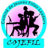 COJEFIL NIGER logo - Similar company to Portail Tech