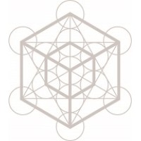 Limitless Ventures logo - Similar company to First Principals