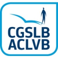 CGSLB-ACLVB IRISteam logo - Similar company to Iristeam