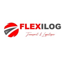FLEXILOG SOLUTIONS logo - Similar company to Flexilogsa