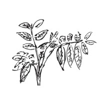 RFS Capital logo - Similar company to Encarte