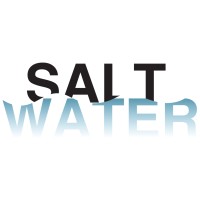 Salt Water Communications & Culture logo - Similar company to Caerus Change