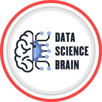 Data Science Brain logo - Similar company to Deepakjosecodes