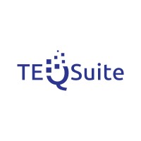 TEQSuite Global Solutions logo - Similar company to Wizons