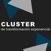CLUSTER de transformación exponencial logo - Similar company to Cluster Sap