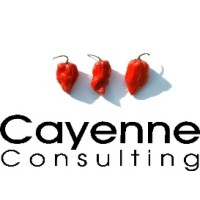 CAYENNE CONSULTING LIMITED logo - Similar company to 3Xo
