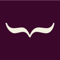 Mavric PK logo - Similar company to Odyssey Solutions