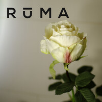 Ruma Salons logo - Similar company to Clearer Training