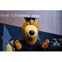 The Department of English at the University of Akron logo - Similar company to Hku School Of English