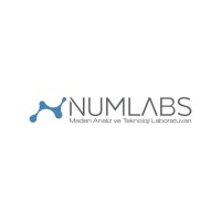 NUMLABS Maden Analiz ve Teknoloji Laboratuvarı logo - Similar company to Motor Service Llc