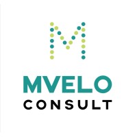 Mvelo Consult logo - Similar company to Rightclickfix (Pty) Ltd