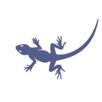 Gecko Sports® logo - Similar company to Gecko Cricket Sports Ltd