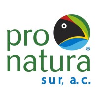 Pronatura Sur A.C. logo - Similar company to Implan Los Cabos