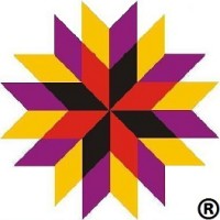 Impressive Star Softwares (P). Ltd. logo - Similar company to We33Ras It Pvt Ltd